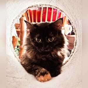 QUICK LIST FOR "AS IS" ITEM